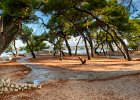 2013 09- D8H5151 HDR : Petrcane, Zadar, semester, utlandet